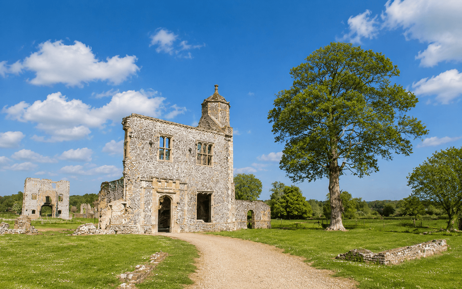 A guide to Holt