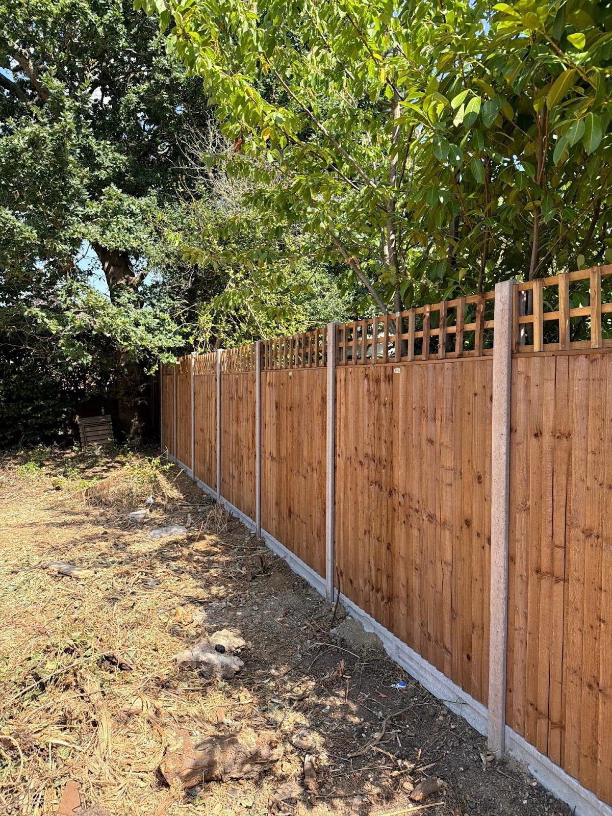 Aaron Fencing