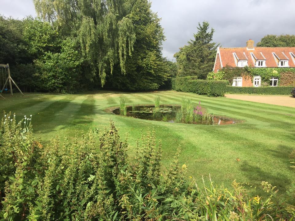 Ben Willis Landscaping