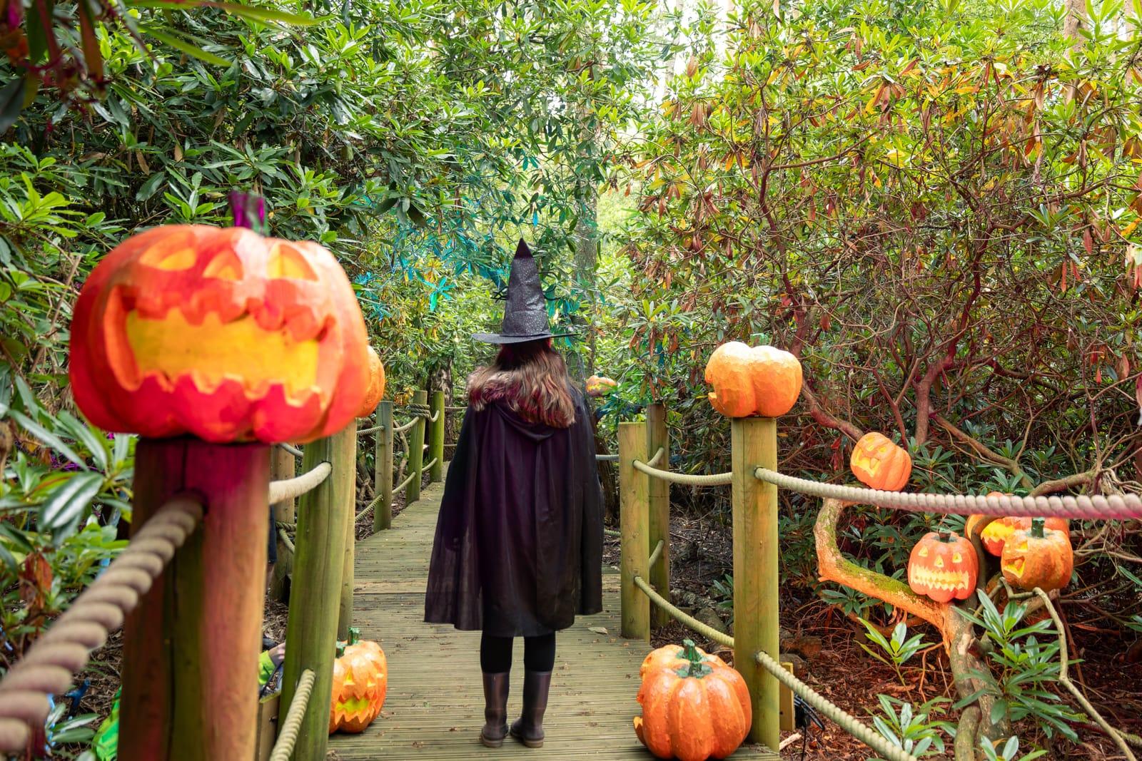 Halloween at BeWILDerwood 2026
