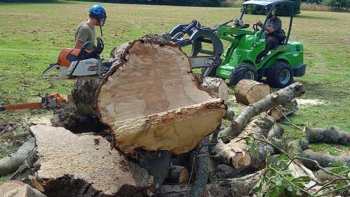 Black Dog Tree Services