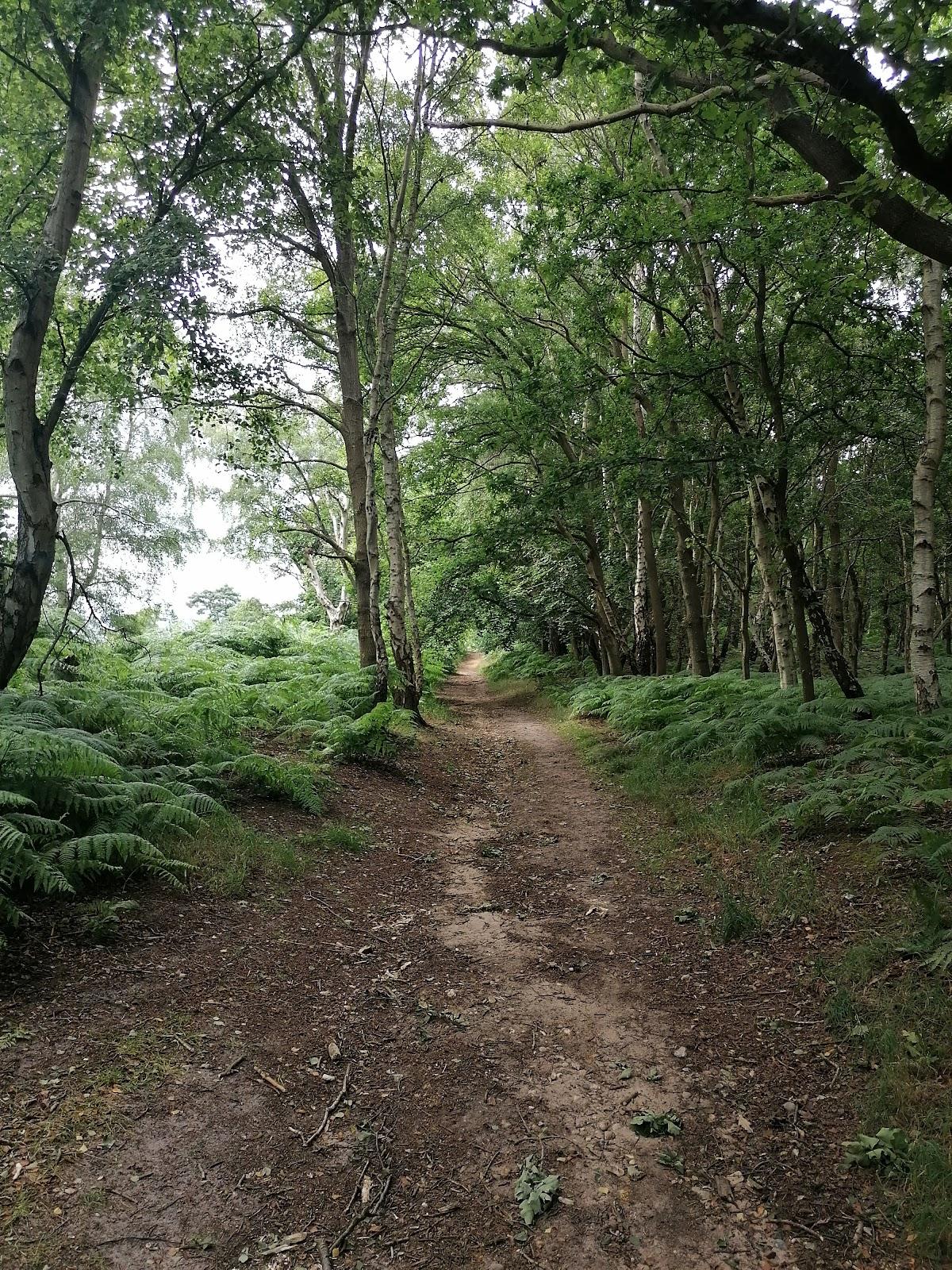 Blaxhall Common