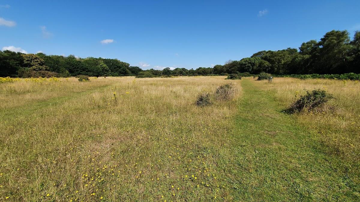 Captain's Wood