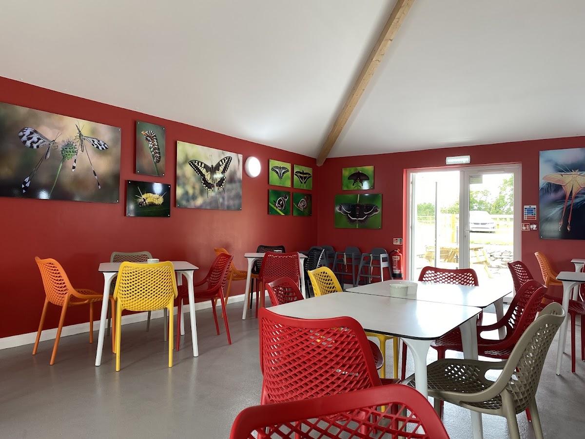 Chrysalis Café