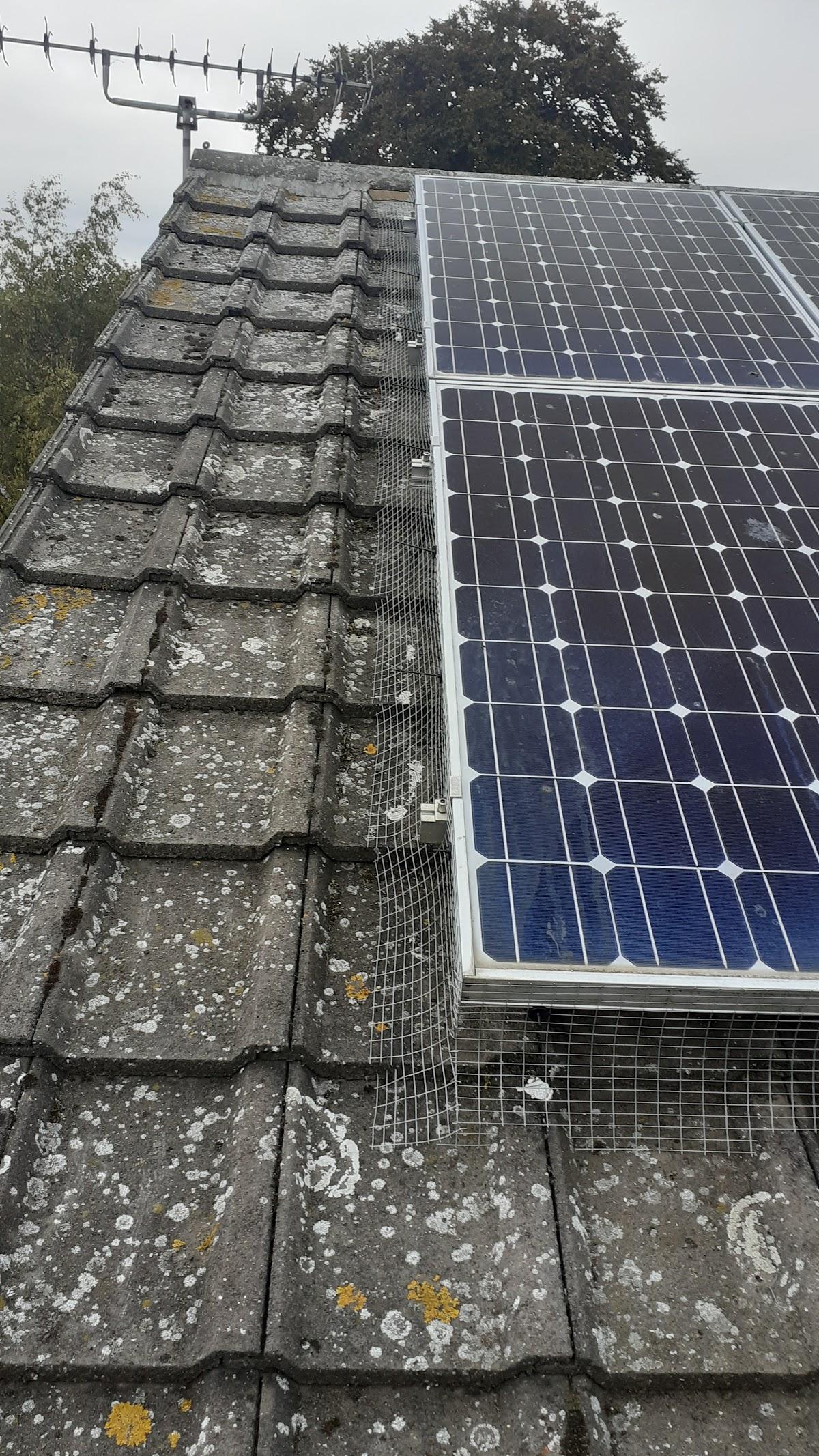 Essex & Suffolk Pest Solutions