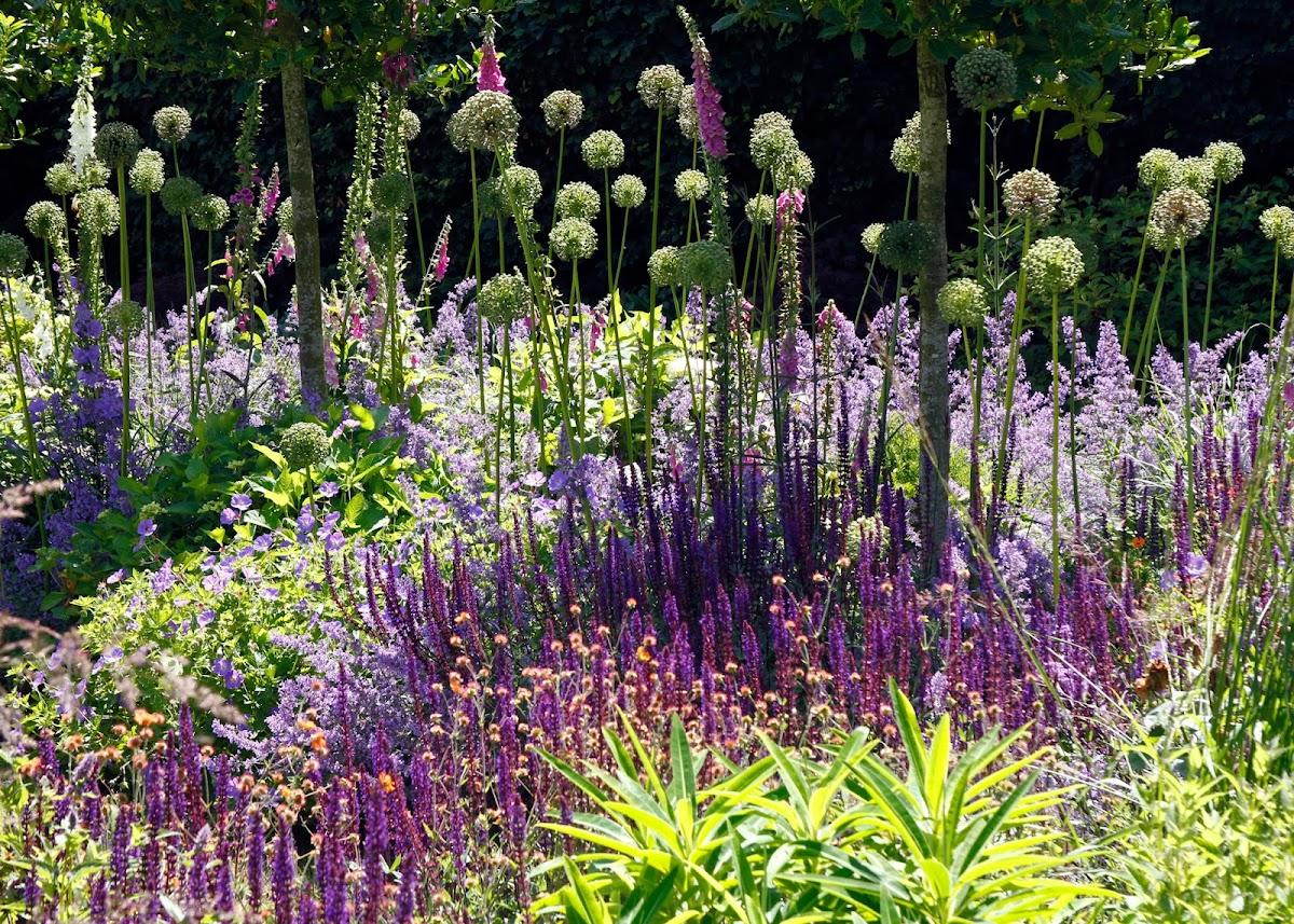 Greencube Garden & Landscape Design