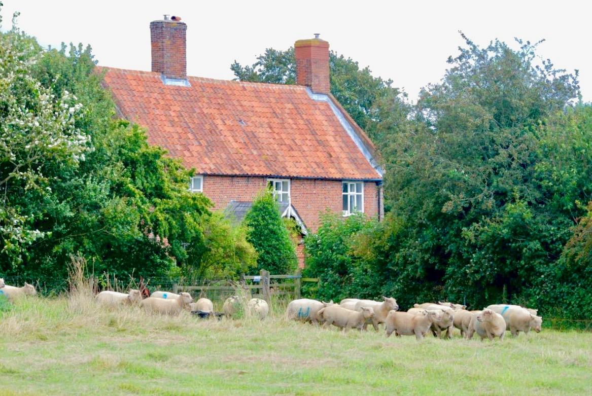 Hall Farm Hideaways