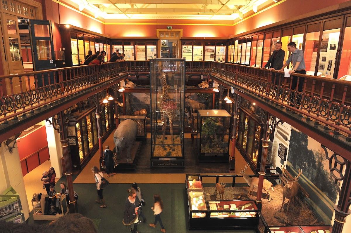 Ipswich Museum