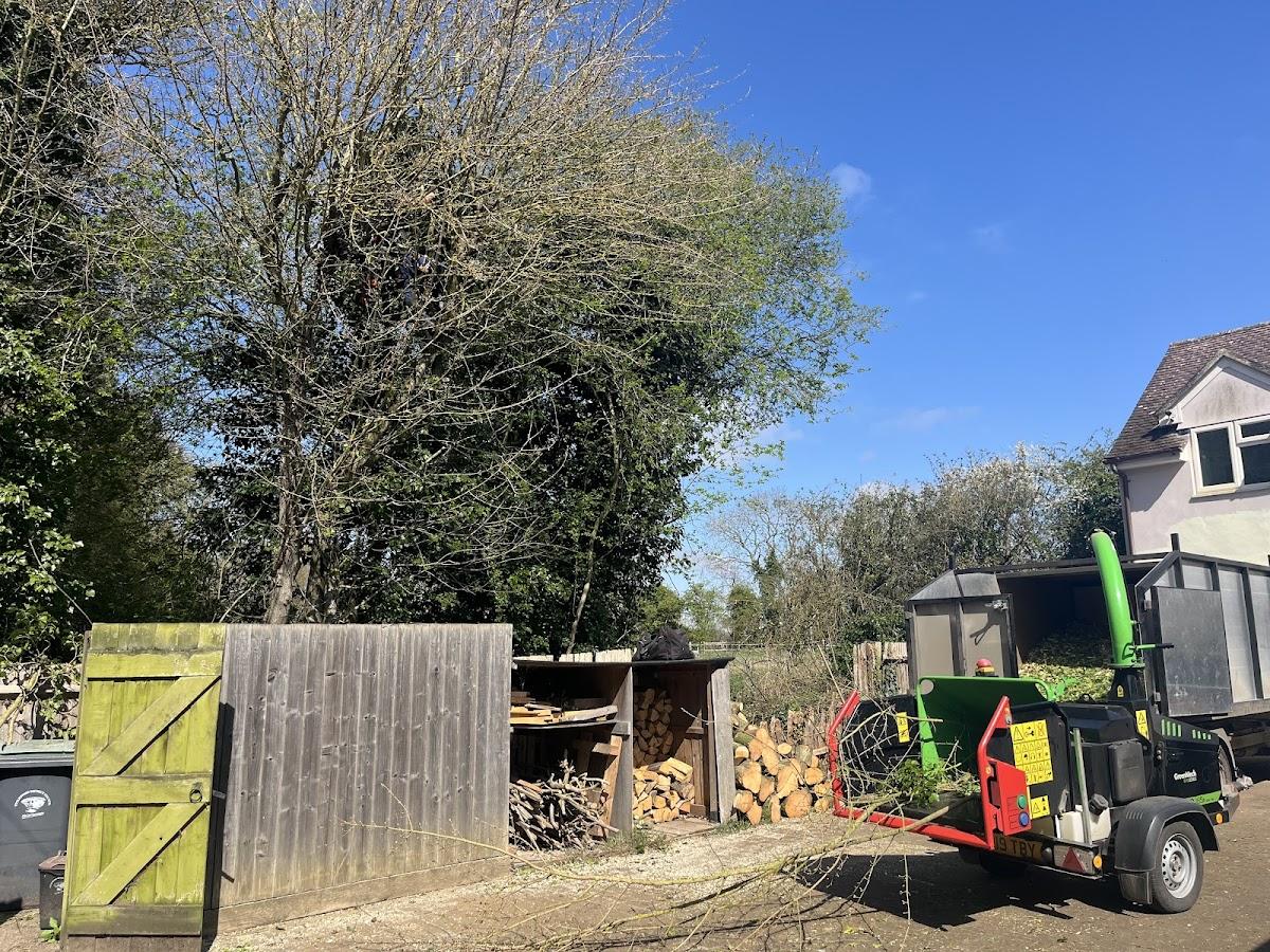 JW Tree Surgery & Gardens
