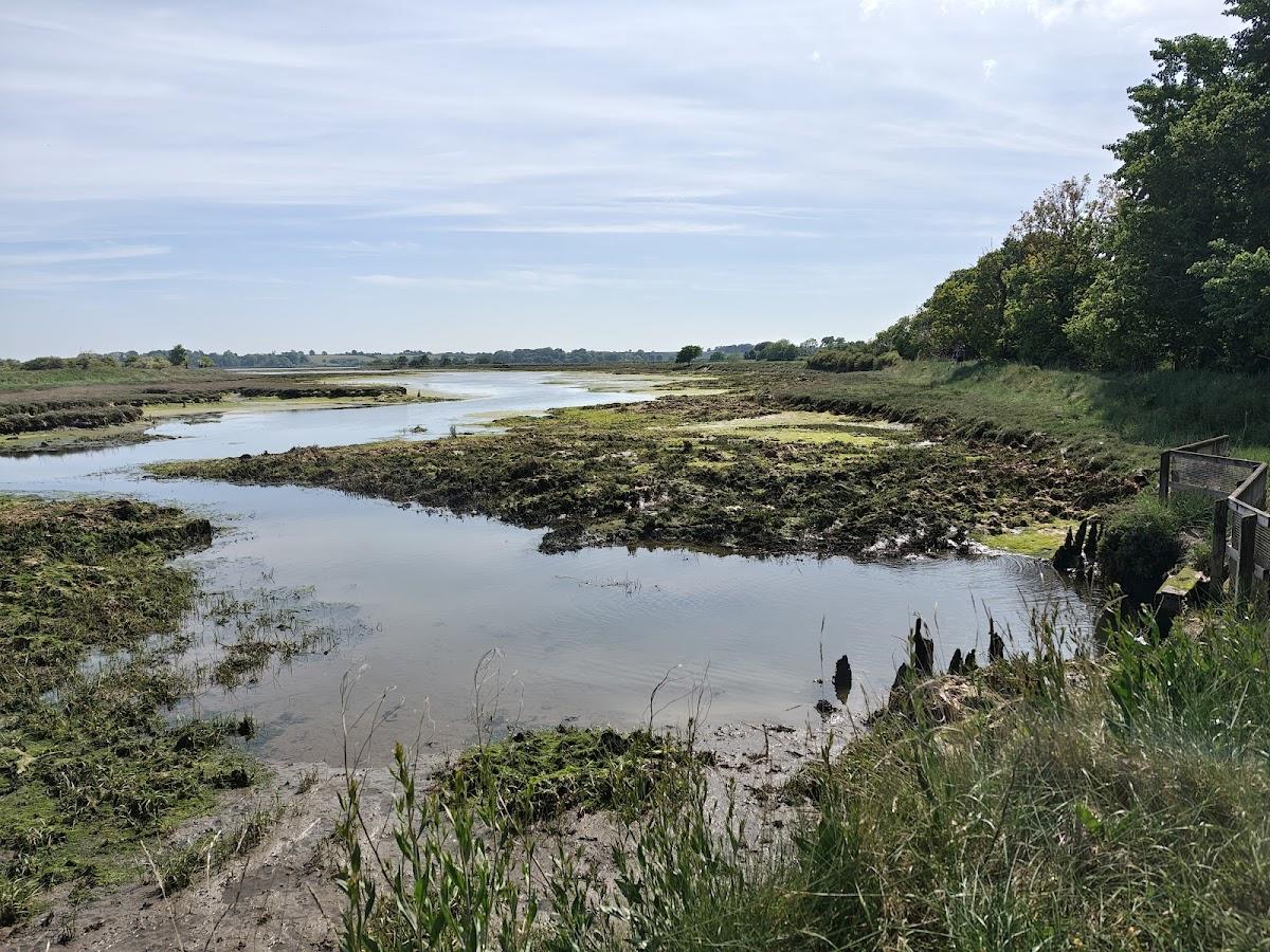 Levington Lagoon
