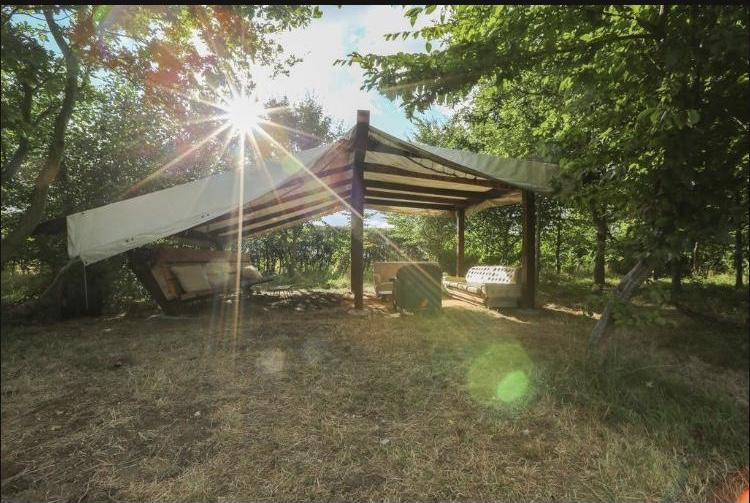 Little Lodge Glamping