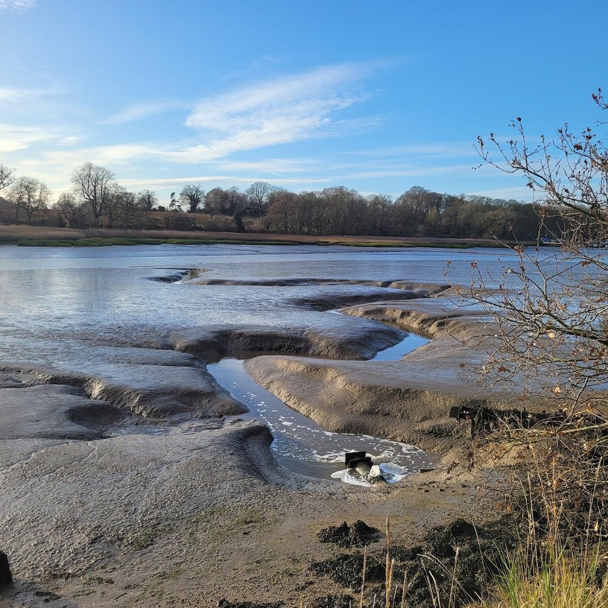 Martlesham Wilds Nature Reserve