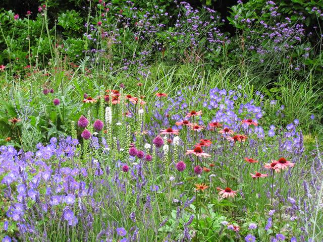 Miles Garden Design