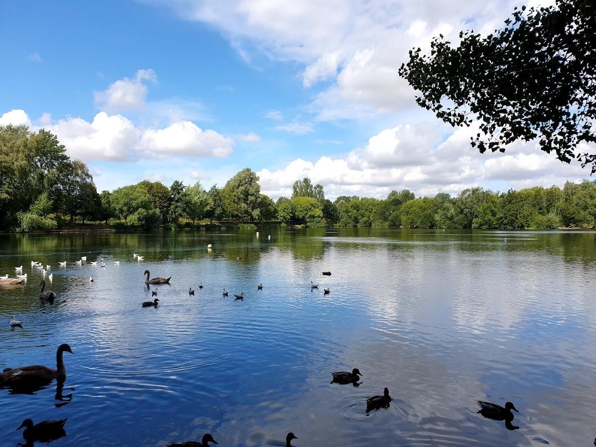 Needham Lake Play Area and Walks