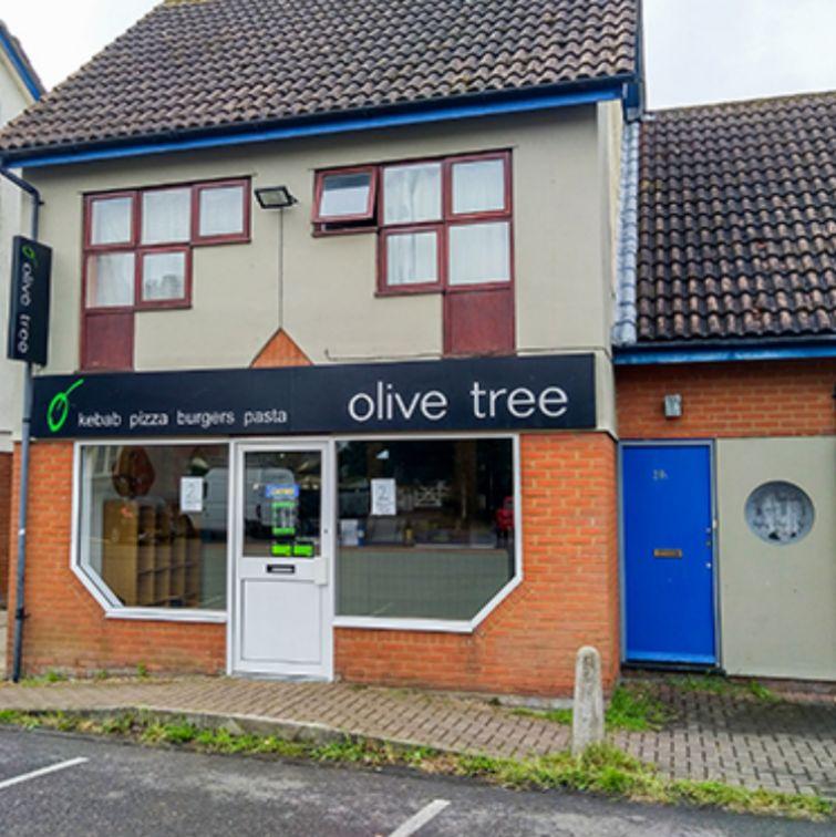 Olive Tree - Ipswich