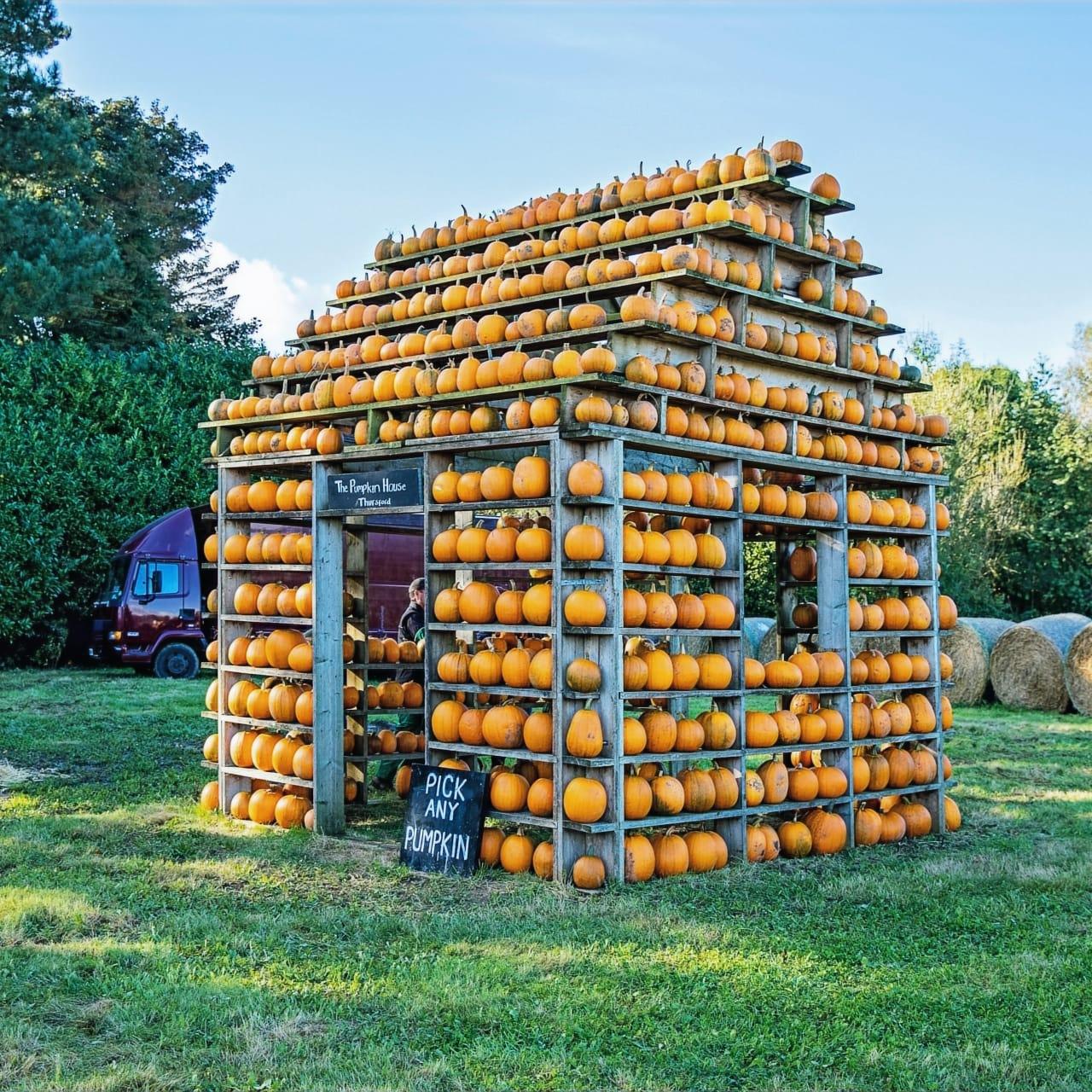 Halloween at The Pumpkin House 2026