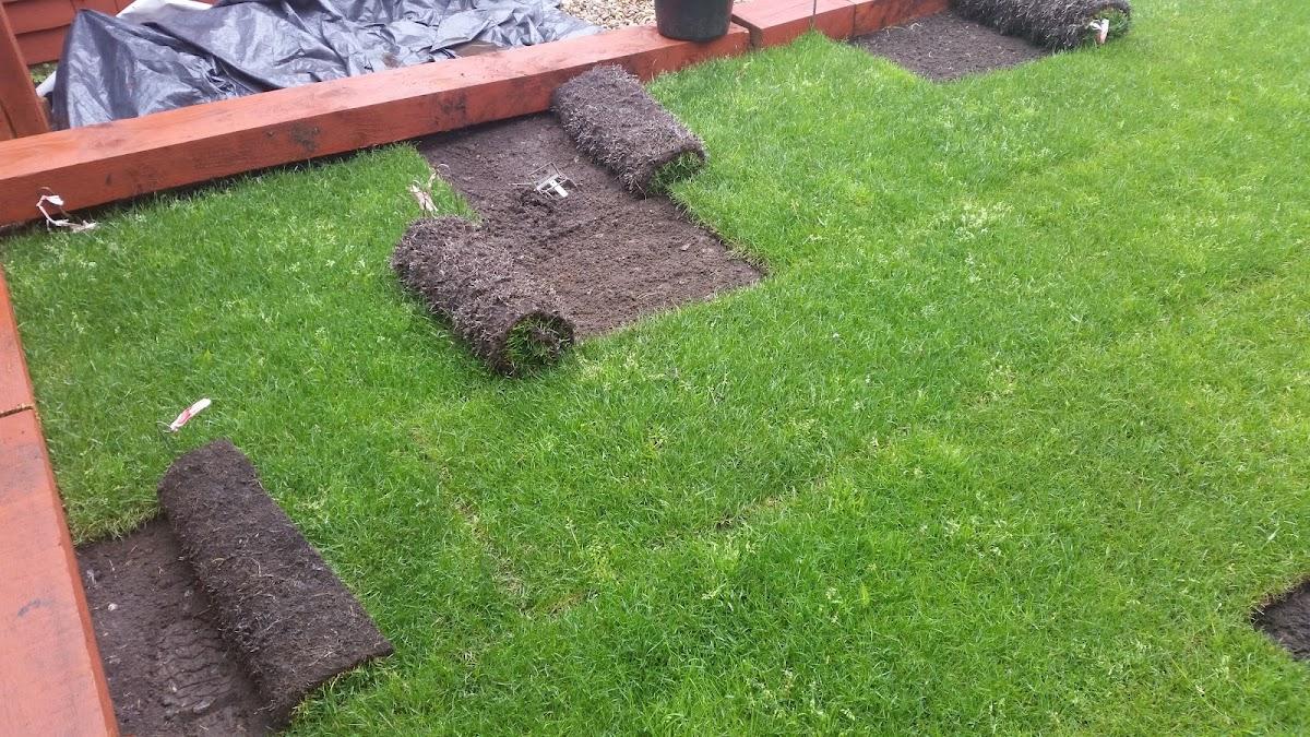 R D Pest Management