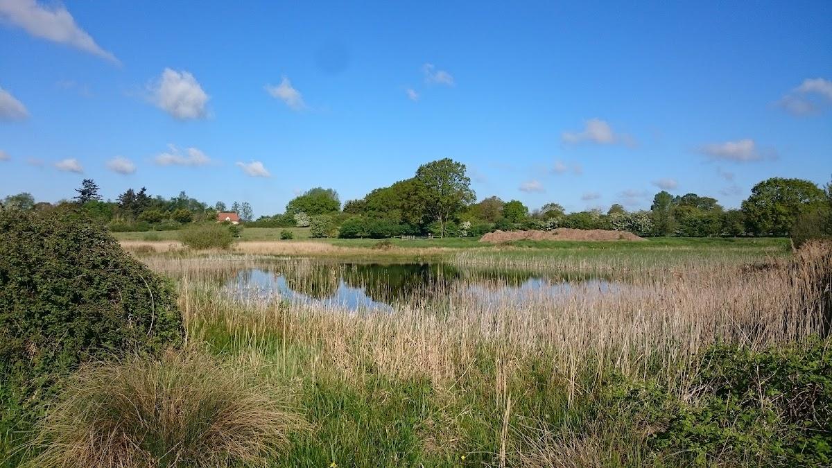 Redgrave and Lopham Fen