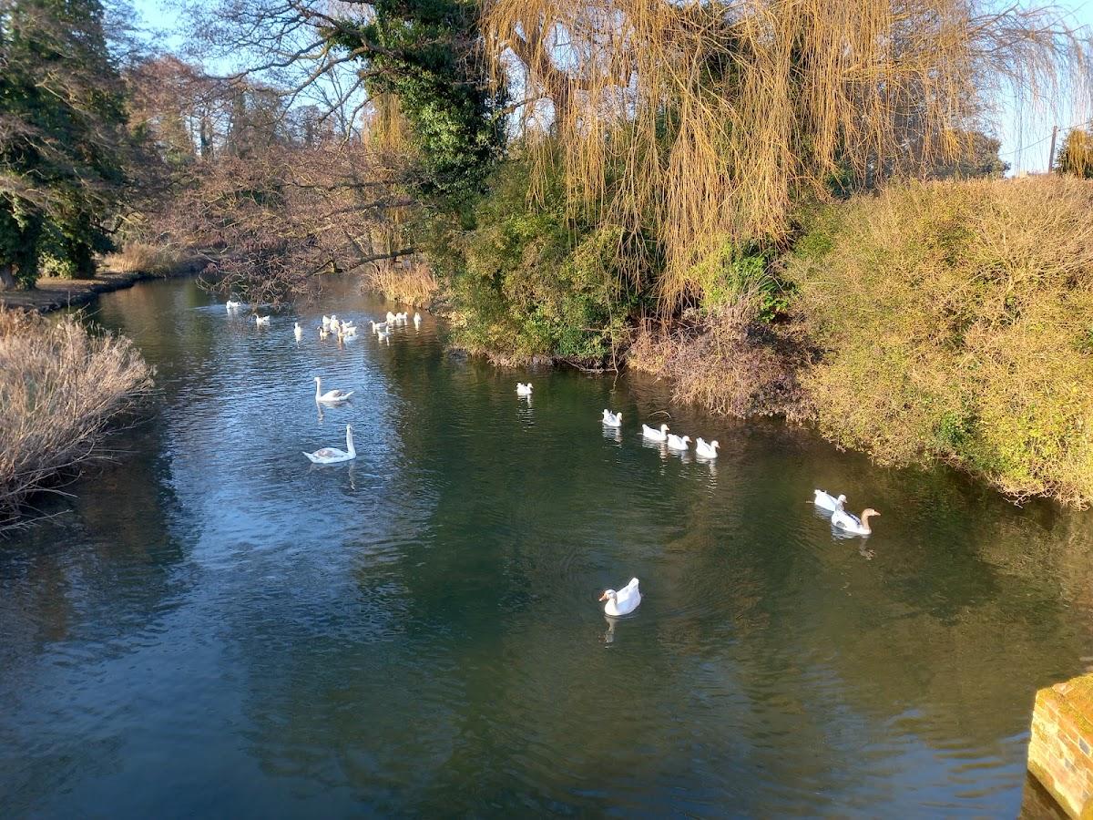 Riverside Walk, Hadleigh
