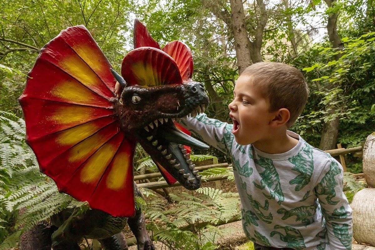 ROARR! Dinosaur Adventure