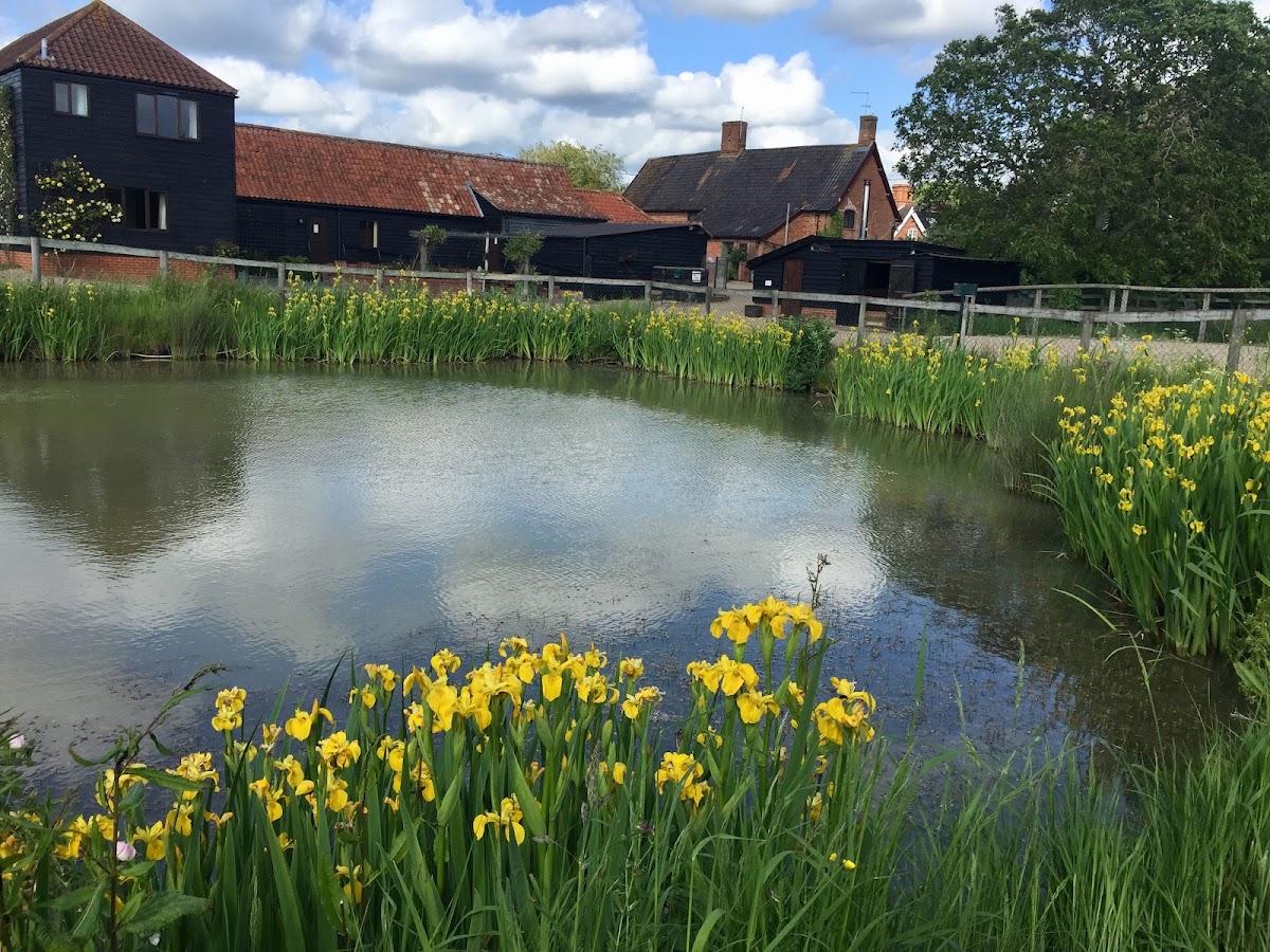 School Farm Cottages