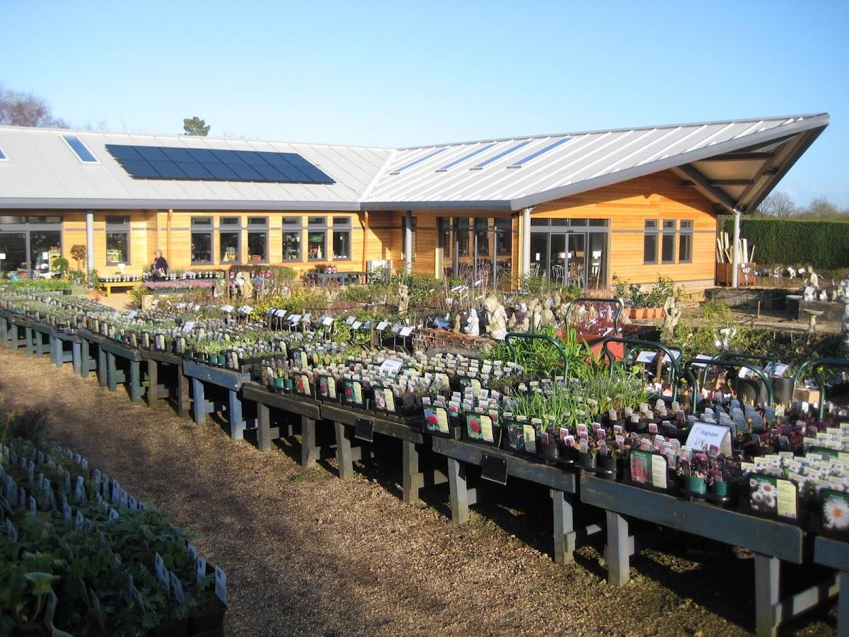 Sturmer Garden Centre