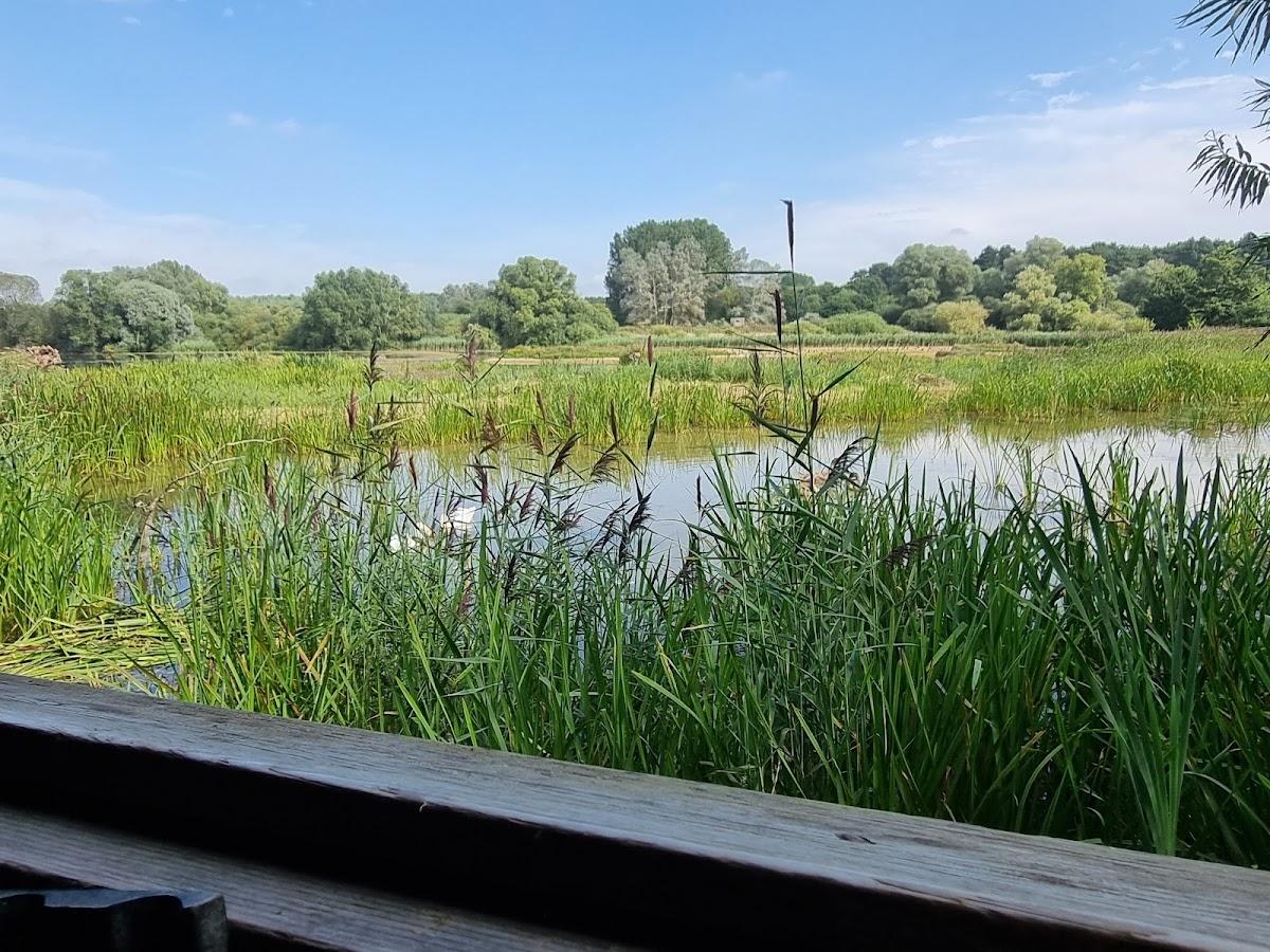 Suffolk Wildlife Trust - Lackford Lakes
