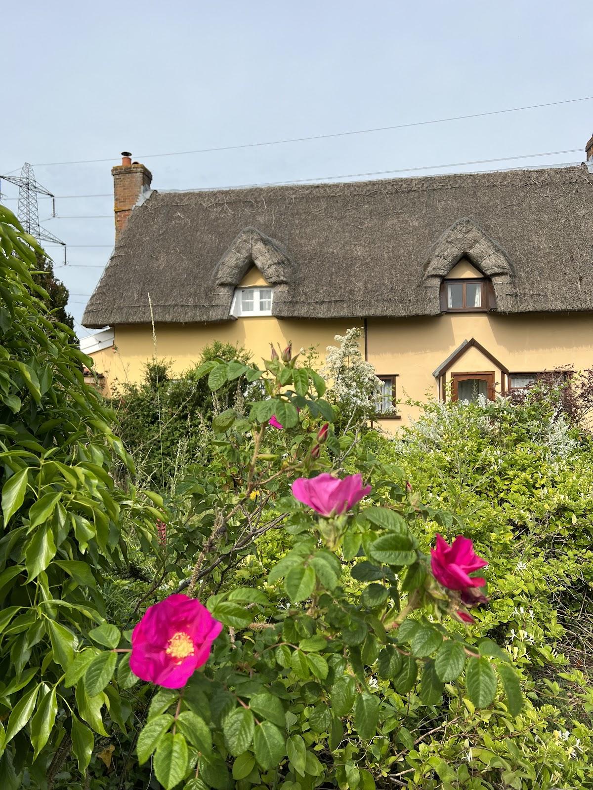 The Bull Auberge