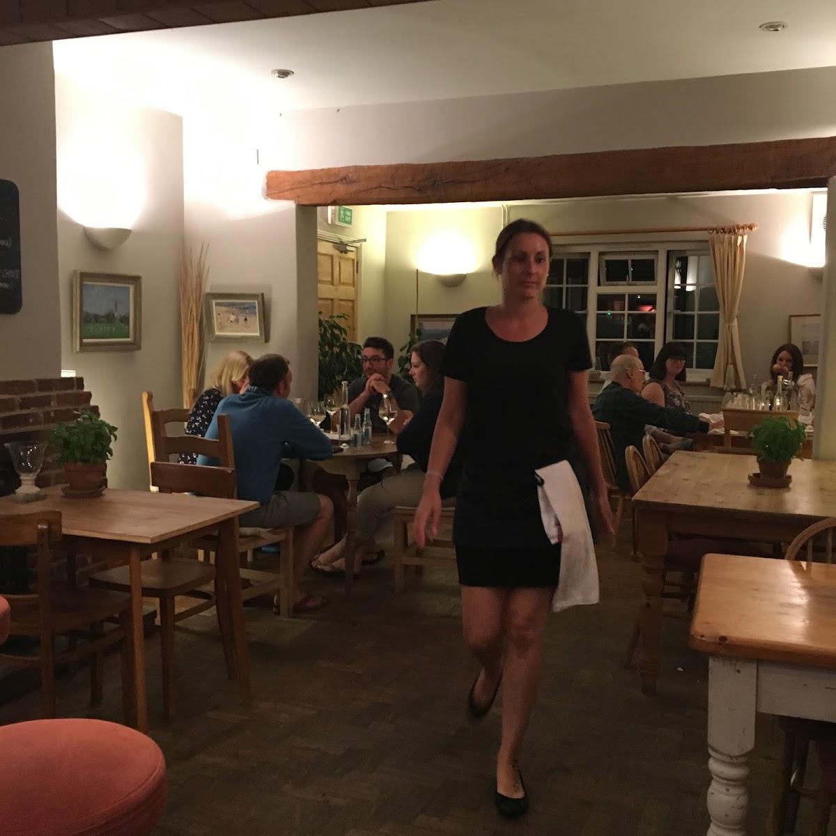 The Olive Tree