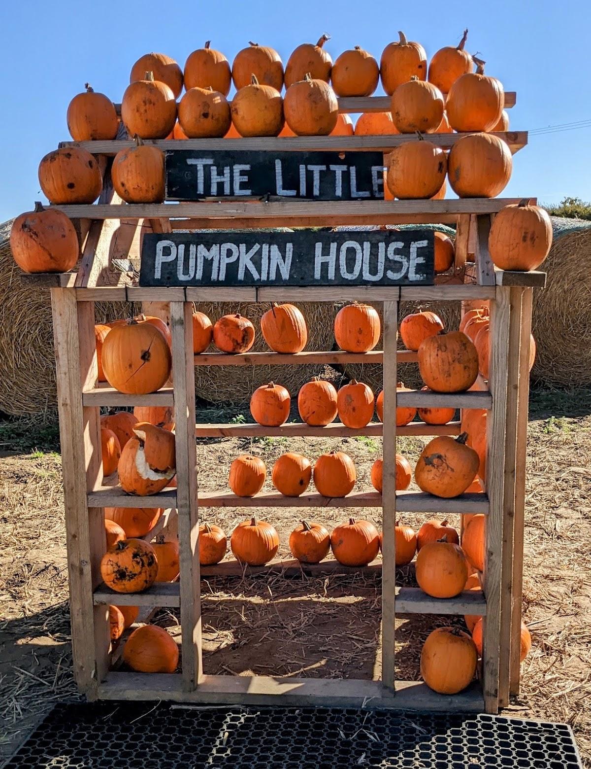 The Pumpkin House