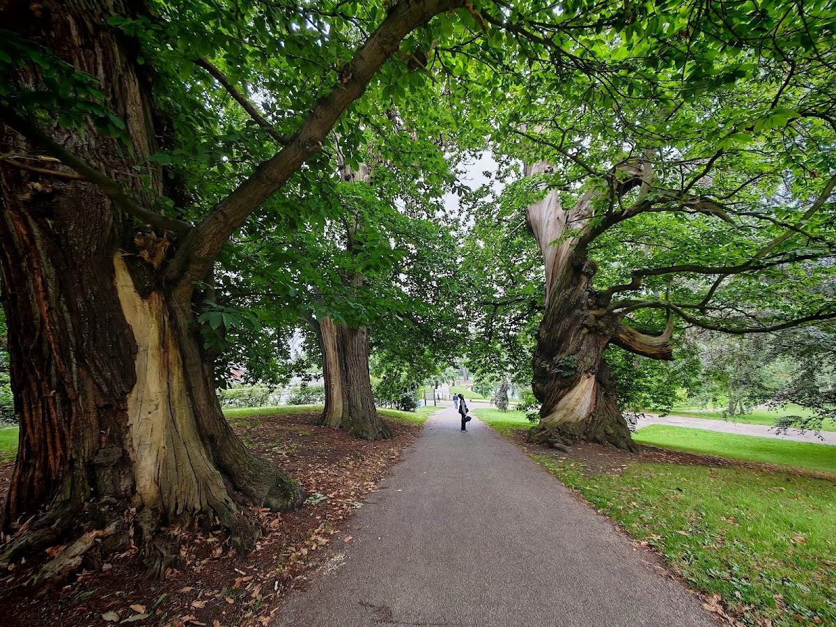 Wolsey Garden