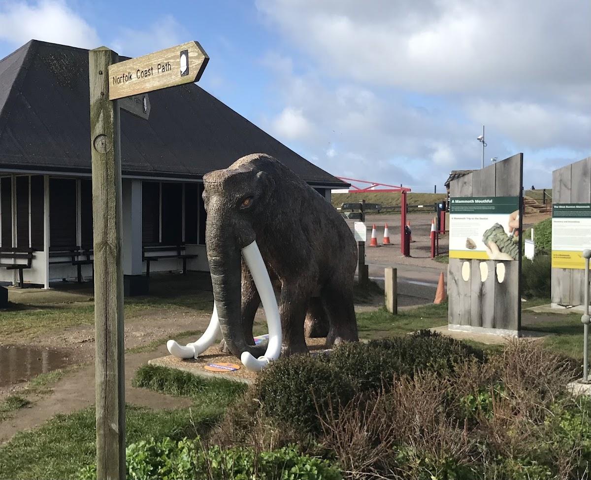 Woodhill Park - Caravan & Camping