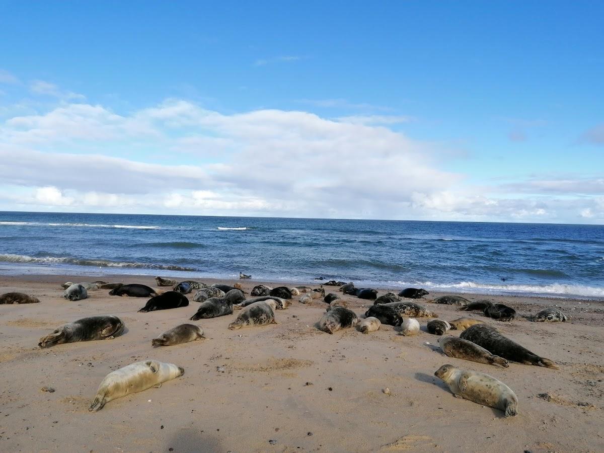 Norfolk Coast National Landscape