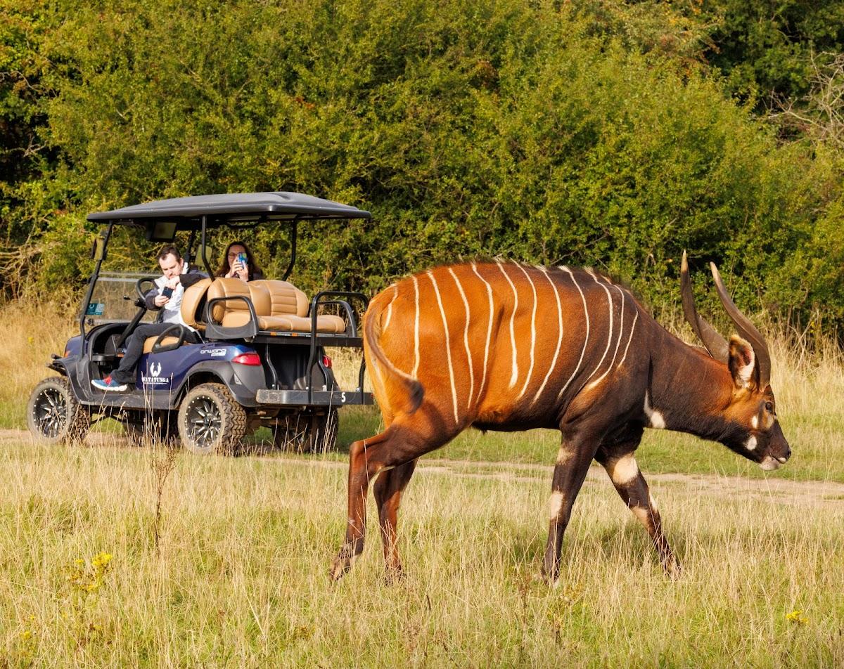 Watatunga Wildlife Reserve